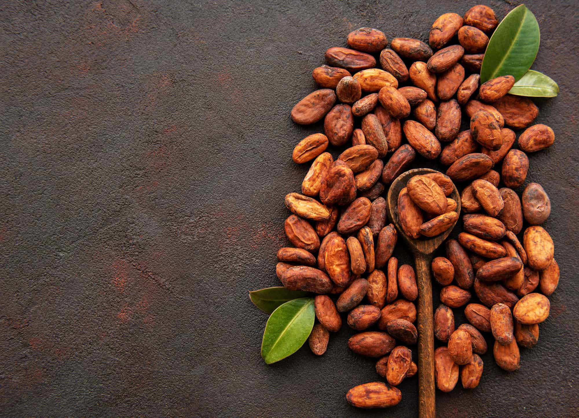 Raw Cocoa beans on a dark concrete background